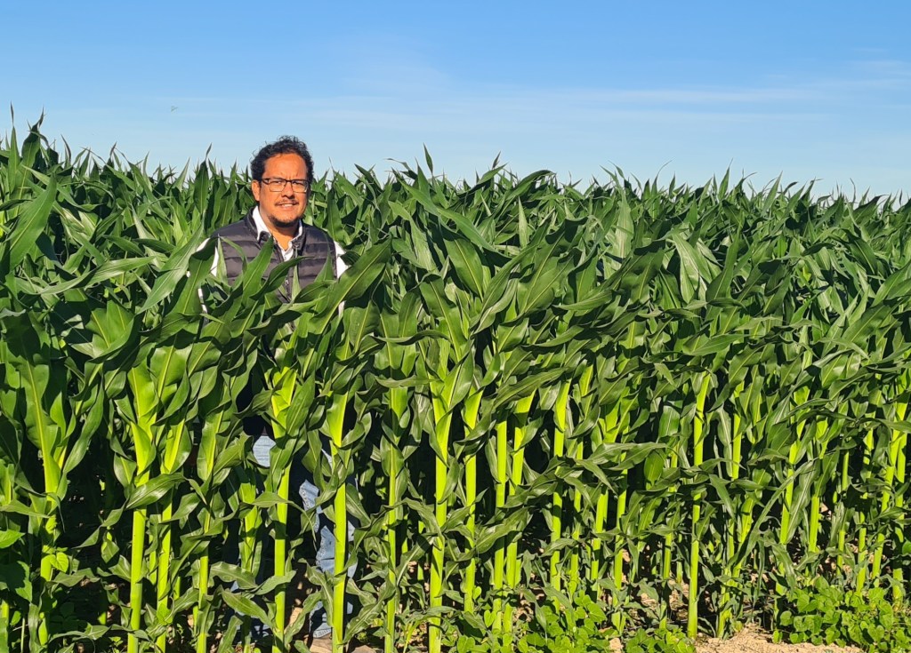 Jesús Arévalo Zarco en un cultivo de maíz