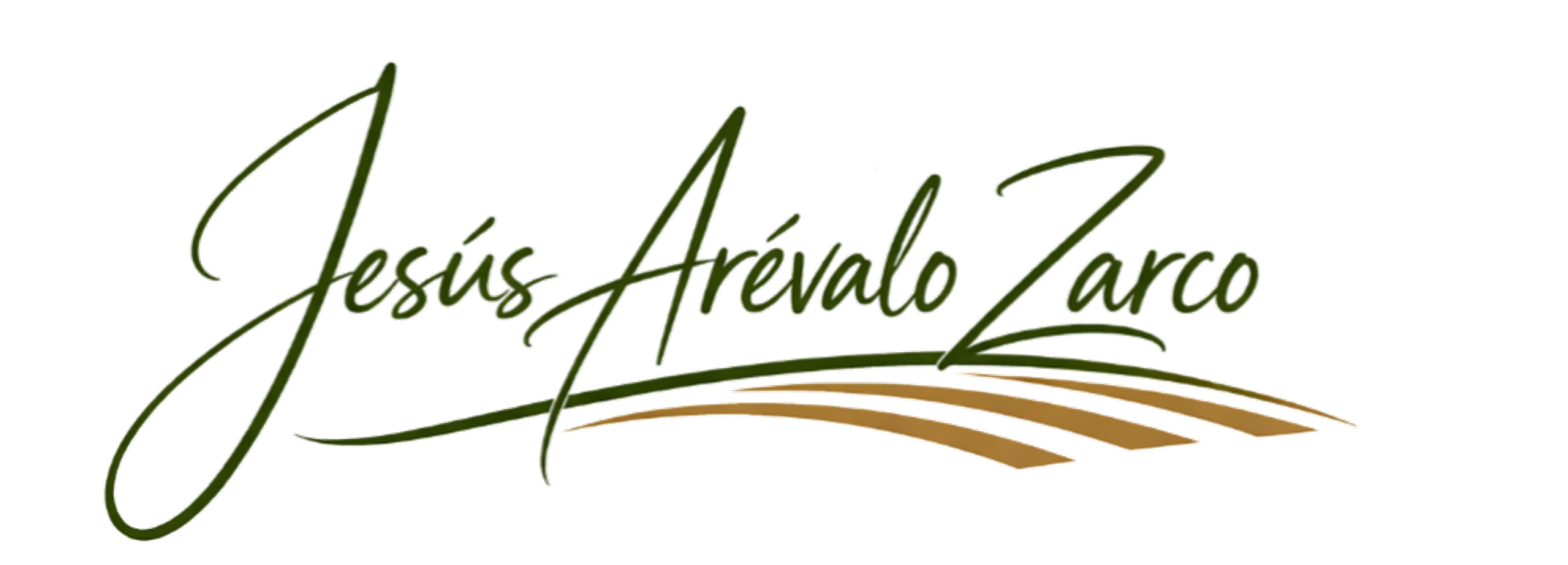 Jesús Arévalo Zarco — Inicio
